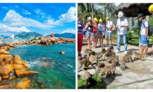 tour-nha-trang-4n4d-nha-trang-da-lat