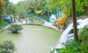 tour-da-lat-3n3d-tea-resort-thac-prenn-nong-trai-cun