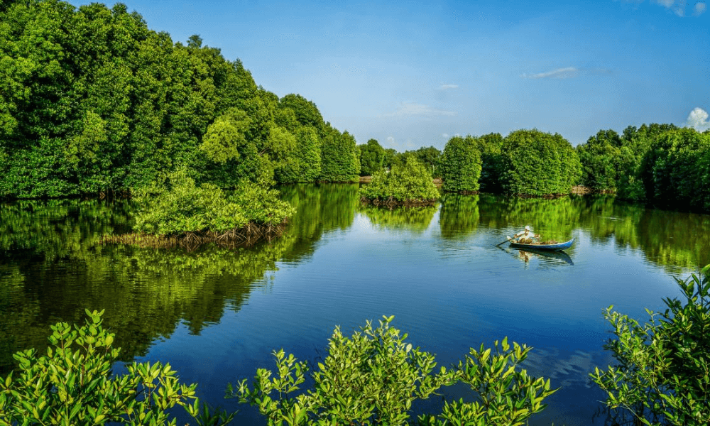 bo-tui-kinh-nghiem-du-lich-ca-mau-cuc-nam-to-quoc